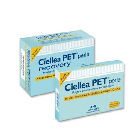 Nbf Lanes Ciellea Pet Recovery Integratore Metabolico Cani E Gatti 60 Perle